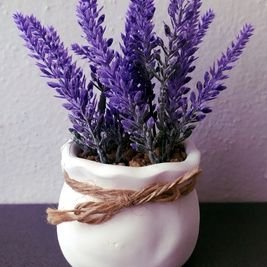 Lavender Uplift Your Home: 10 Powerful Plants That Promote Peace